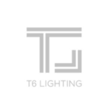 t6 logo